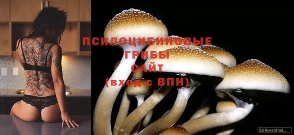 марки nbome Алексин