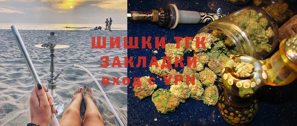 индика Ахтубинск